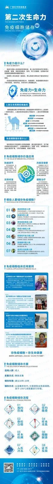 第二次生命力
